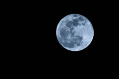 New Year's Eve Blue Moon